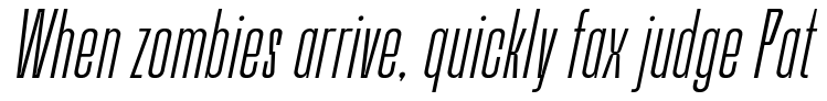 Bersekers-Light Italic
