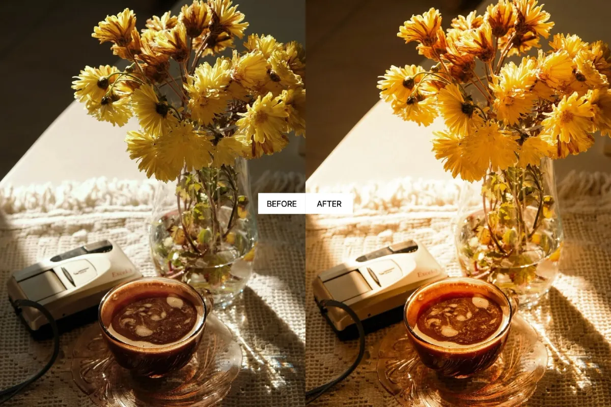 Kodak Gold 200 Lightroom Presets