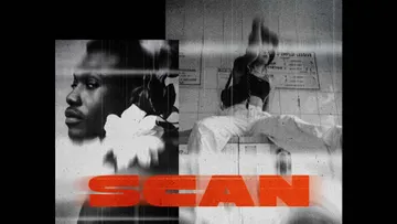 Smudged Scan Poster Effect