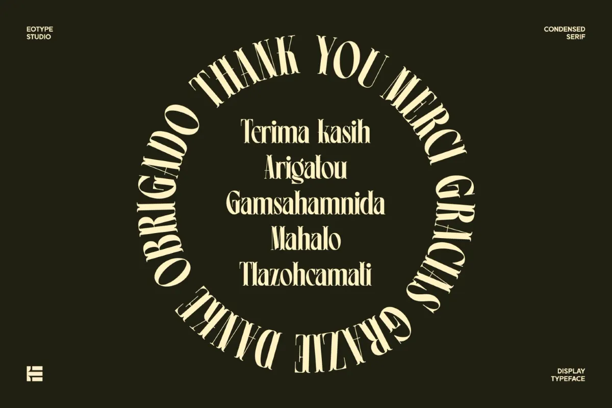 Leonice - Elegant Condensed Serif Font