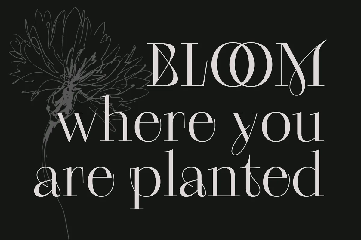 Kudri Weird Headline Font