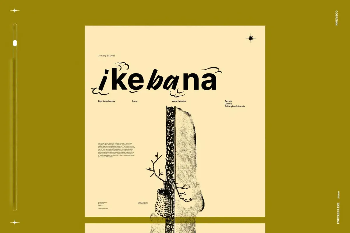 Ikebana Botanical Illustrations Set