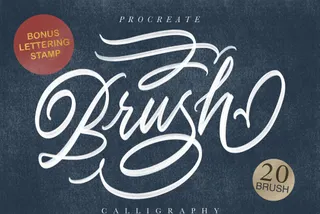Calligraphy Procreate Brush