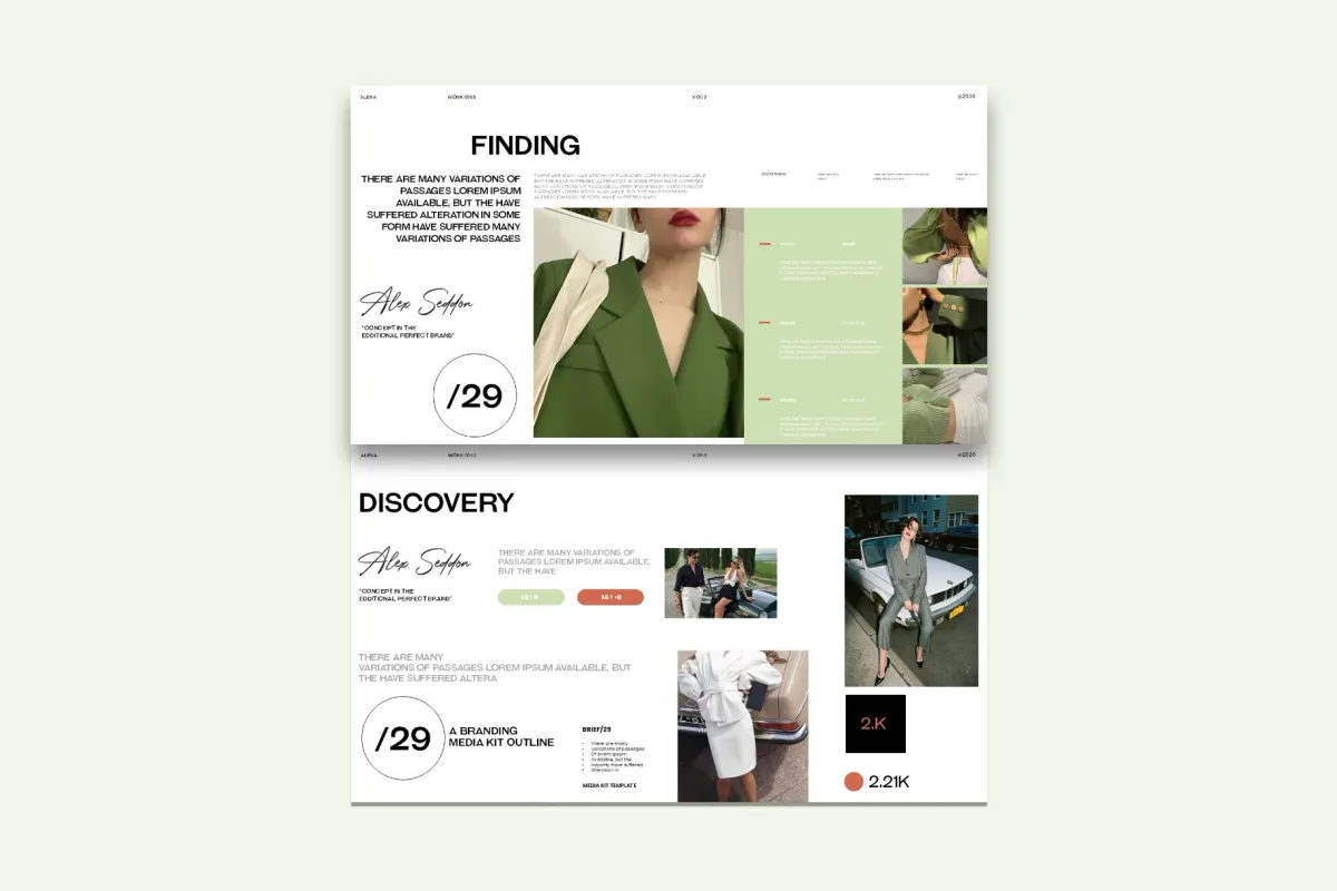 Alexa Campaign Brief /29 Presentation Template