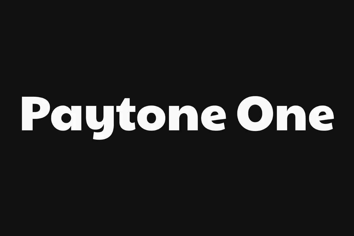 Paytone One - 90s Kids Font