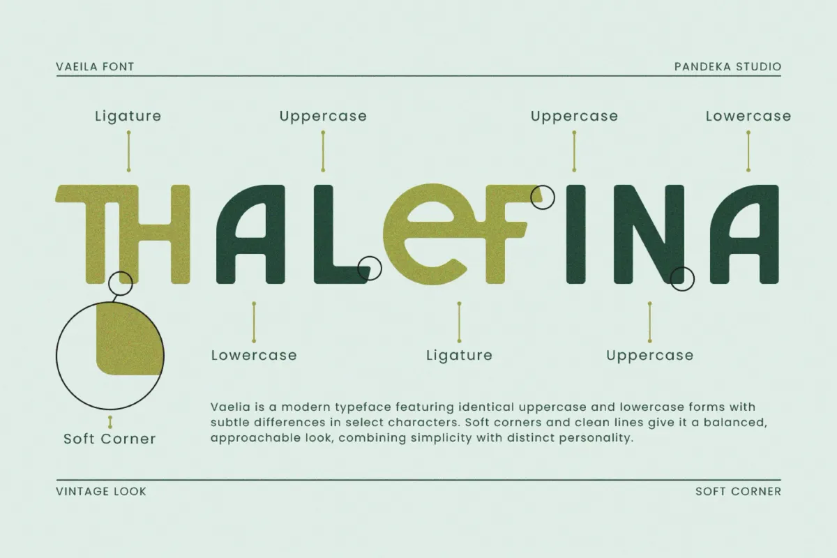 Vaelia - Elegant & Playful Sans Font