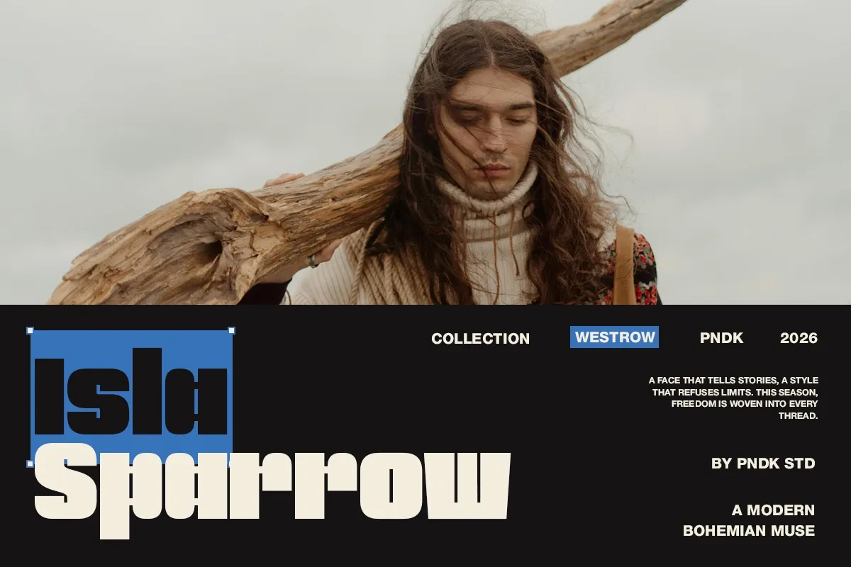 Mogin - Bold Extended Display Font
