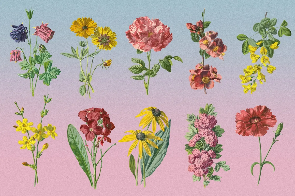 Atlas of Flowers — Botanical Art Set
