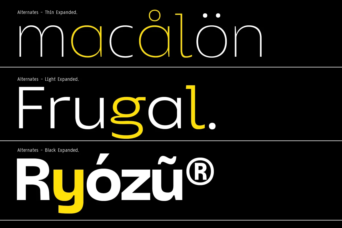 JT Mekito - Geometric Sans Font Family
