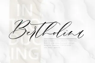 Bertholina Script