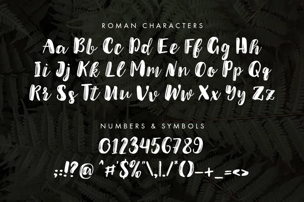 Jullian Script Typeface