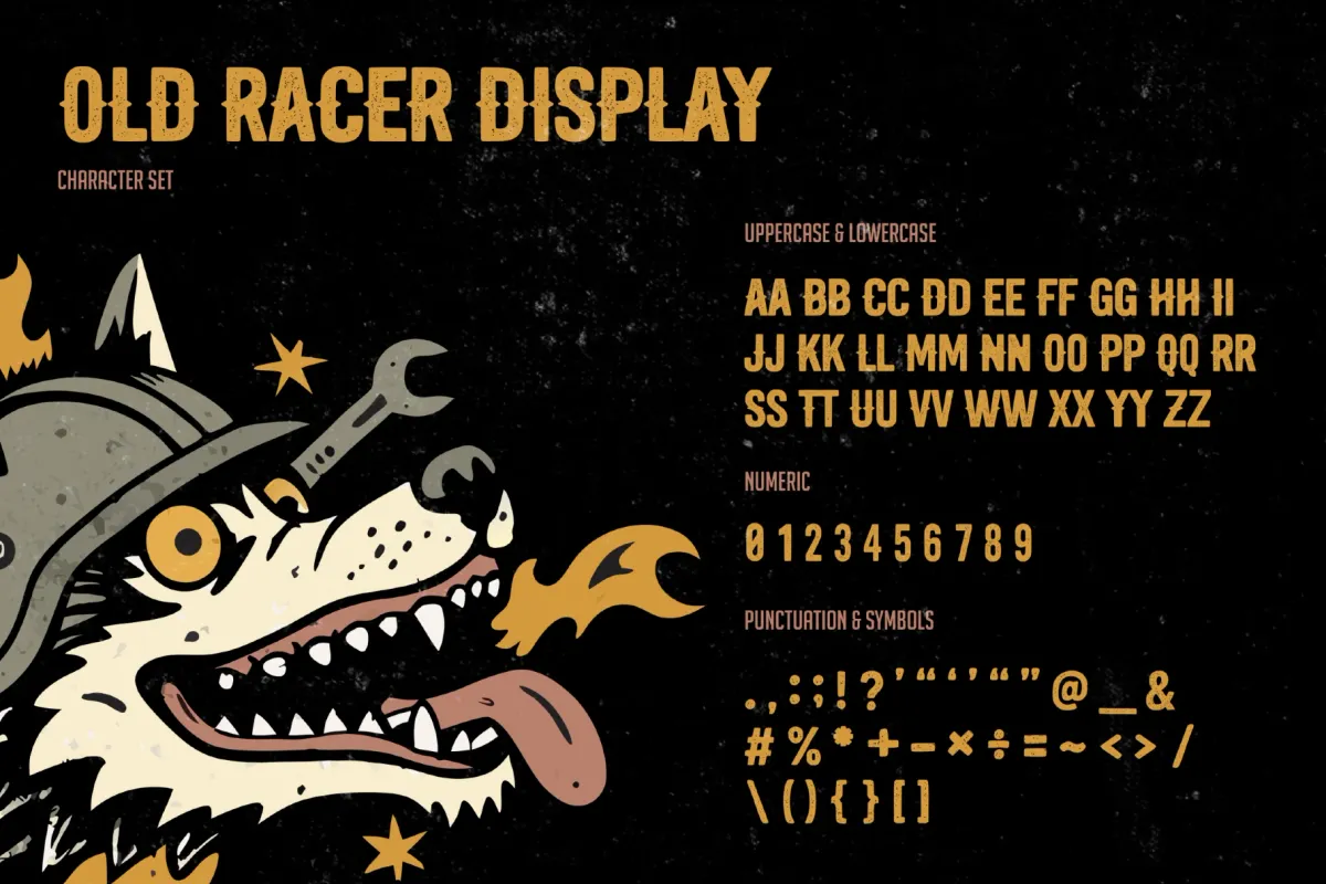 Old Racer Display