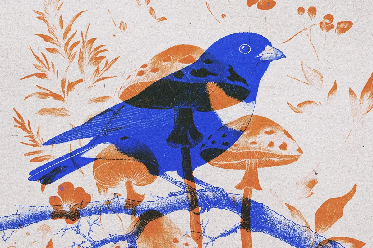 Overprint Risograph Effect