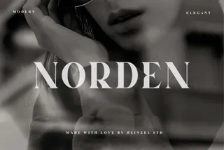 Norden — Modern Serif Font