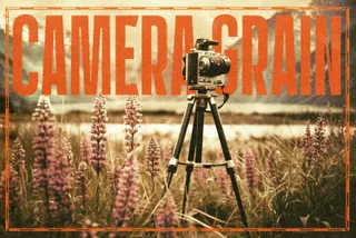 Camera Grain Tint Photo Effect