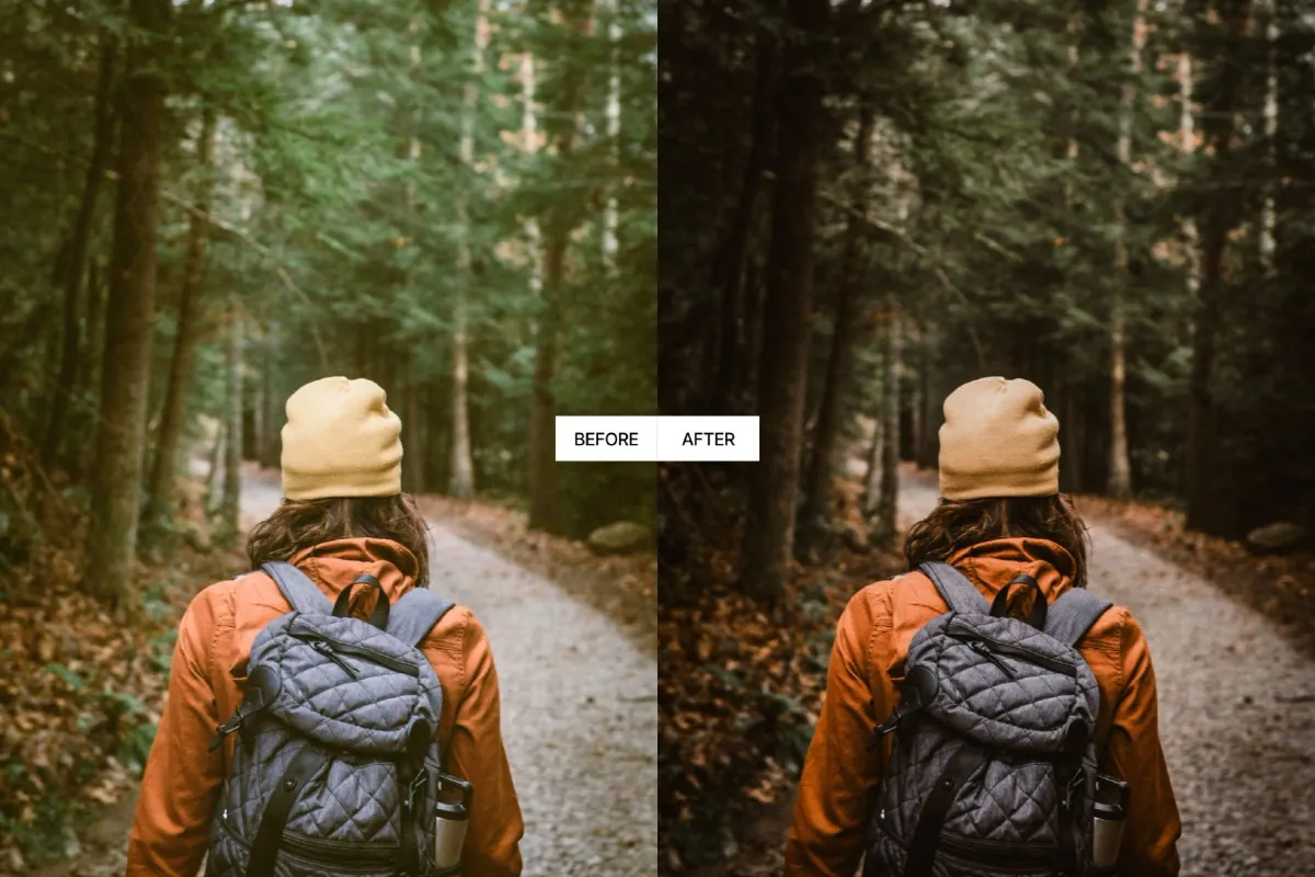 Moody Earth Tones Lightroom Presets
