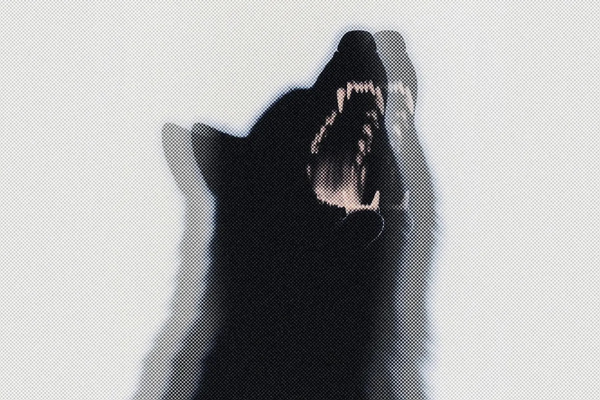 Triple Halftone Screenprint Photo Effect