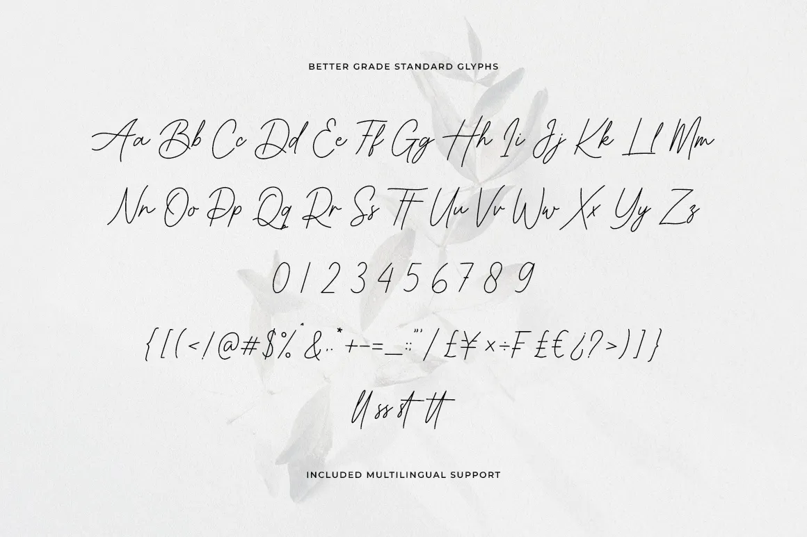 Better Grade - Elegant Signature Font