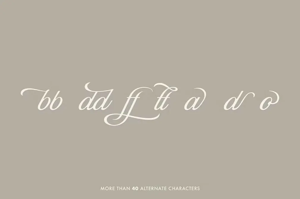 Seasons Script Font