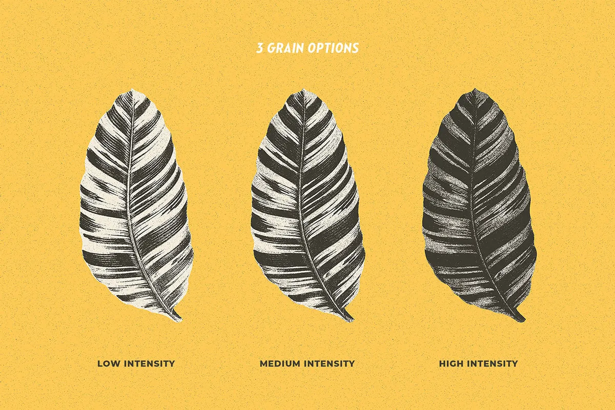 Photoshop Actions Bundle