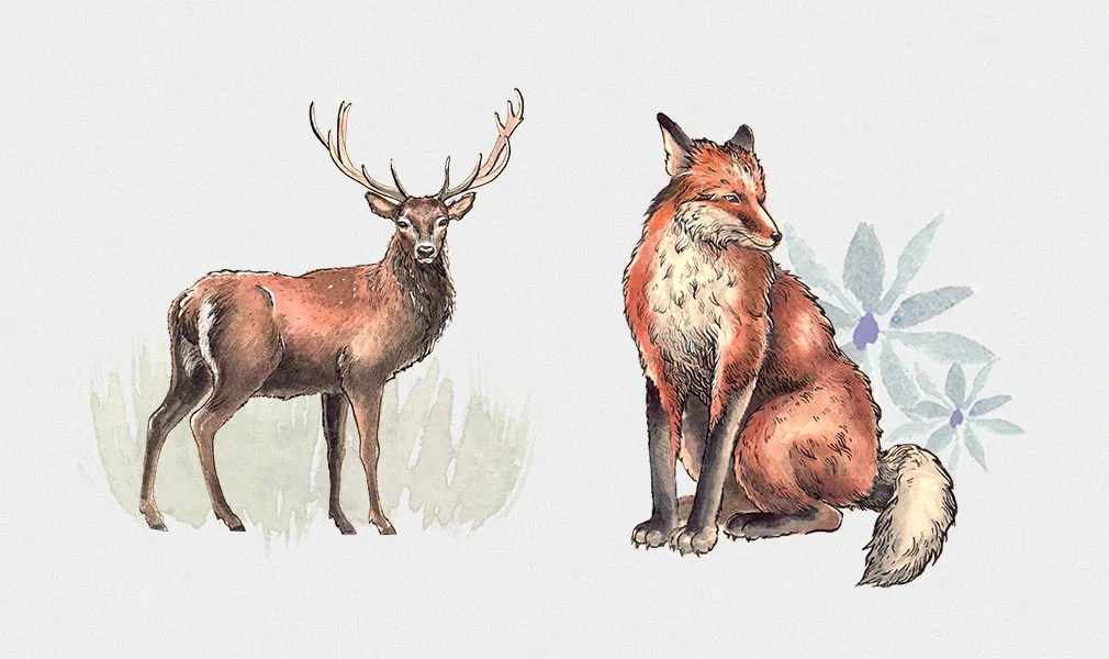 Wild Forest Watercolor Kit