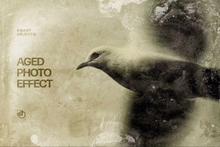 Antique Photo Effect