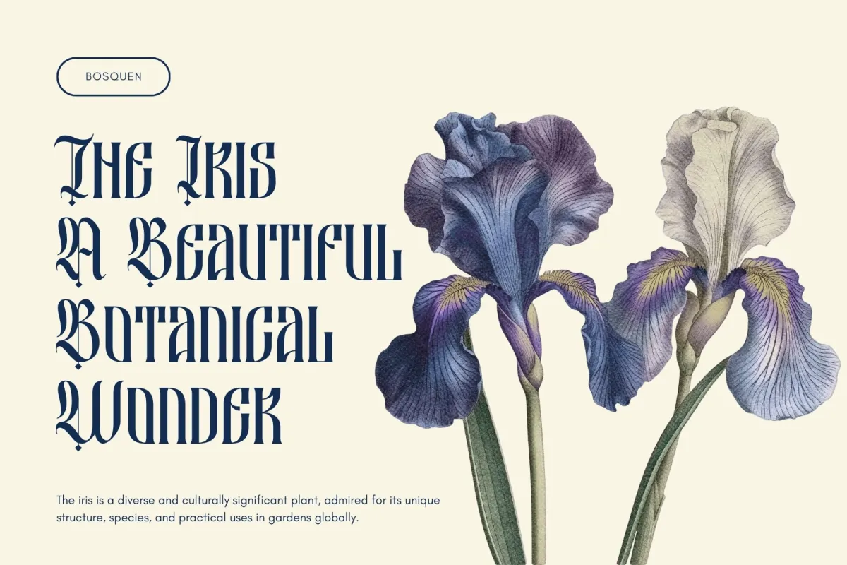 Besquen - Modern Blackletter Font