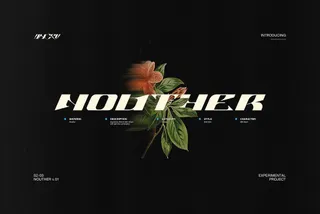 Nouther — Display Font