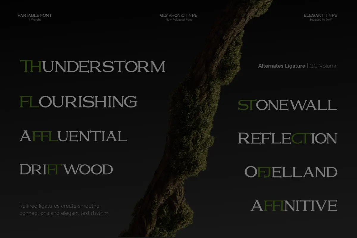 GC Volumn - Elegant Serif Font
