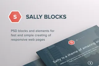 Sally Blocks Website Template