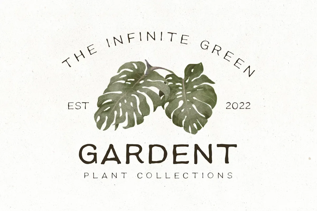 Earth Tone — Organic Sans Family