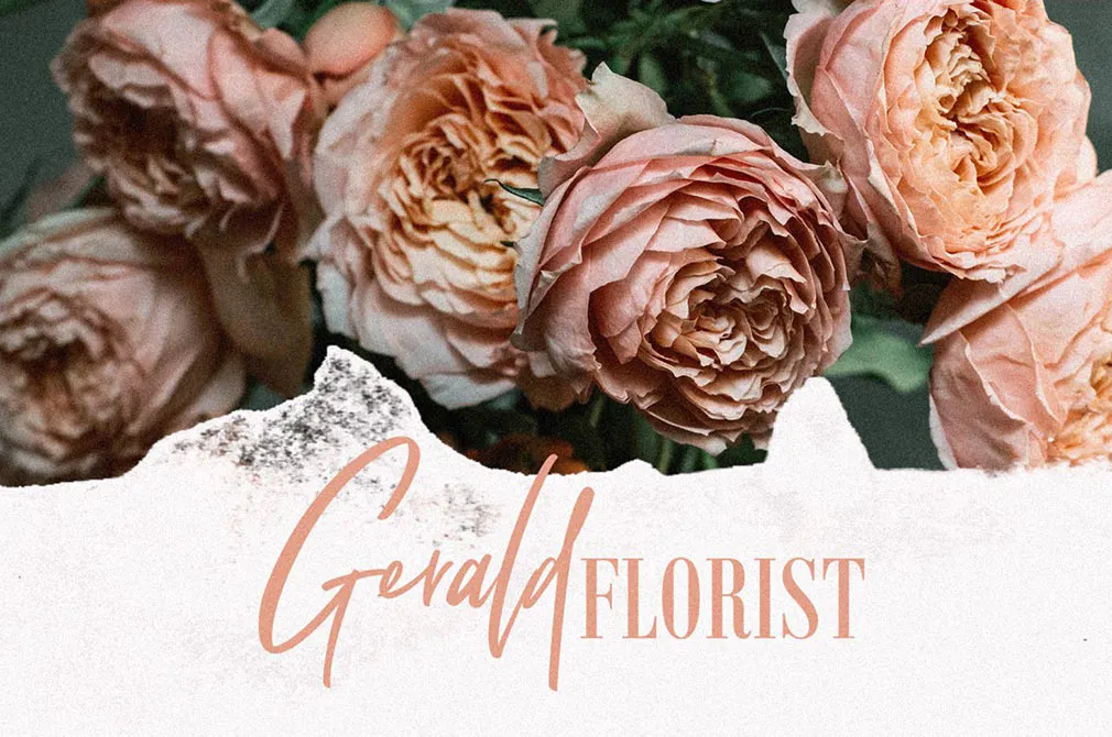 Refaline Script Font