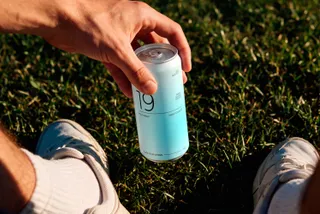 Slim Can Mockup in Sunlight