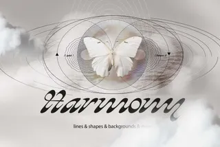 Harmony — Textures And Infographic Set