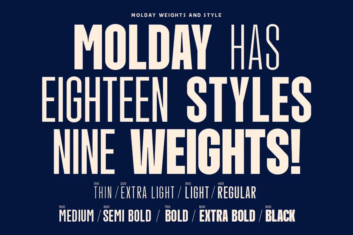 Molday - Condensed Sans Serif Font Family