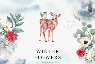Winter Flowers Watercolor Clipart