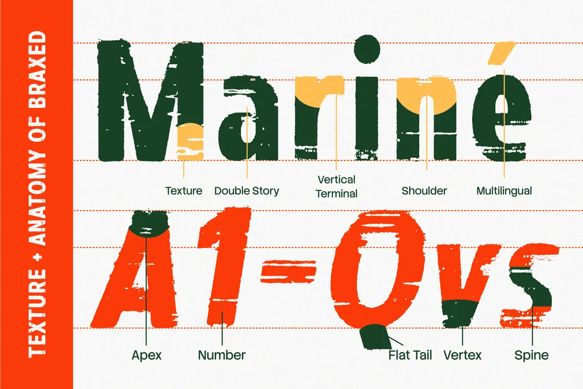 Braxed - Bold Distressed Vintage Sans Serif Font
