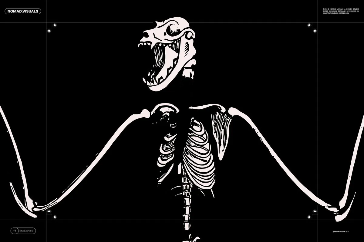 Skeletons & Bones Vector Set