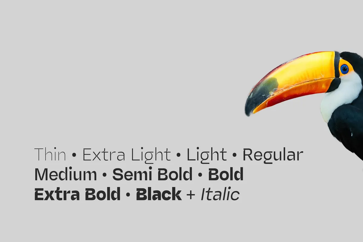 Miguer Sans - High-Contrast Grotesque Font Family