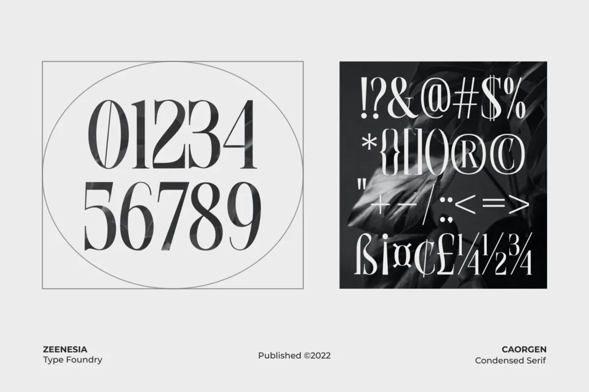 Caorgen - Fashion Display Serif Font
