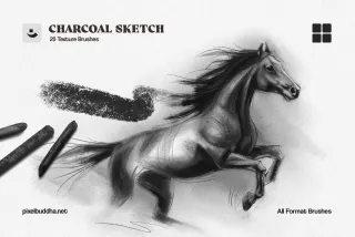 Multi-App Charcoal Sketch Brushes