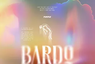 BARDO: 111 gradients