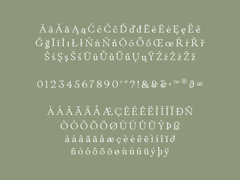 Myona Serif & Elfani Script Fonts