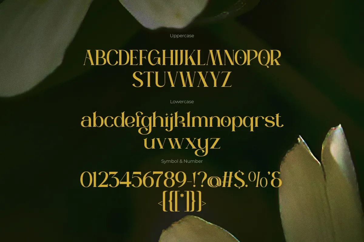 Riolan - Elegant Luxury Serif Font
