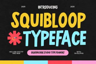 Squibloop Bouncy Sans Serif Font