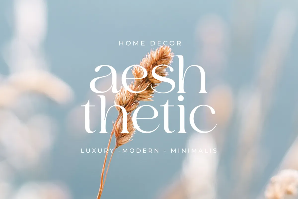 Bilgie - Chic Elegant Font