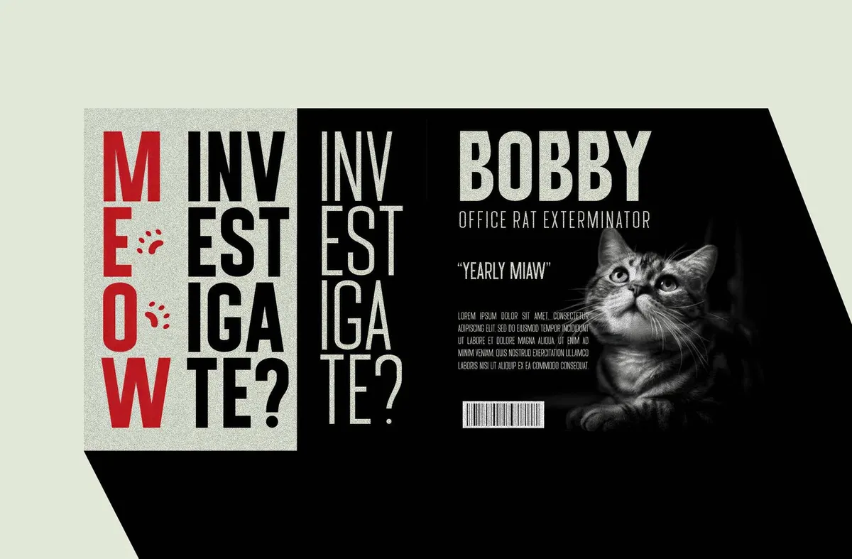 JALES Modern Sans Serif Font