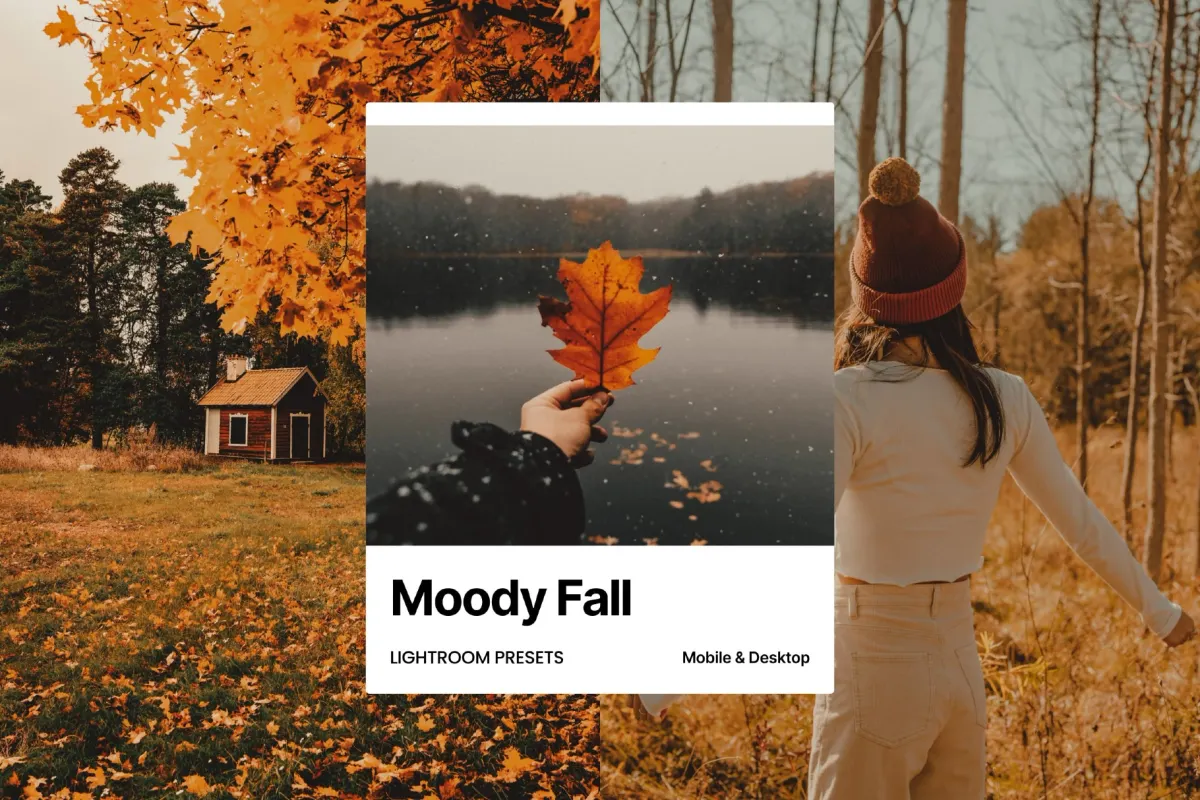Moody Fall Lightroom Presets