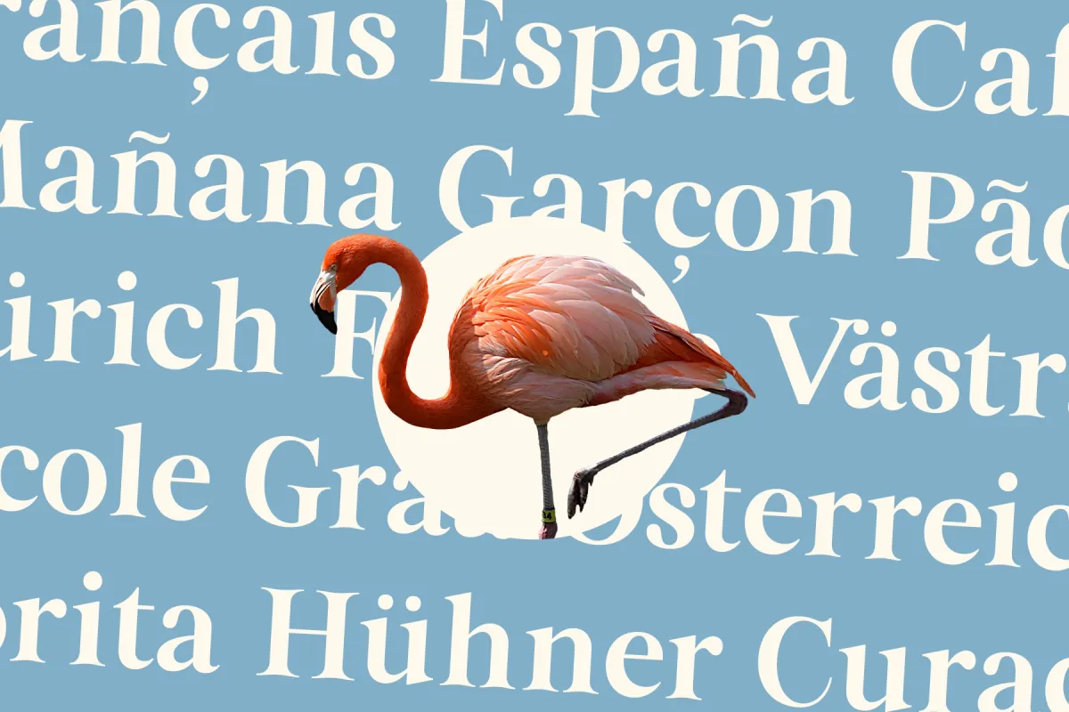 Altahera Display - Elegant Serif Display Font