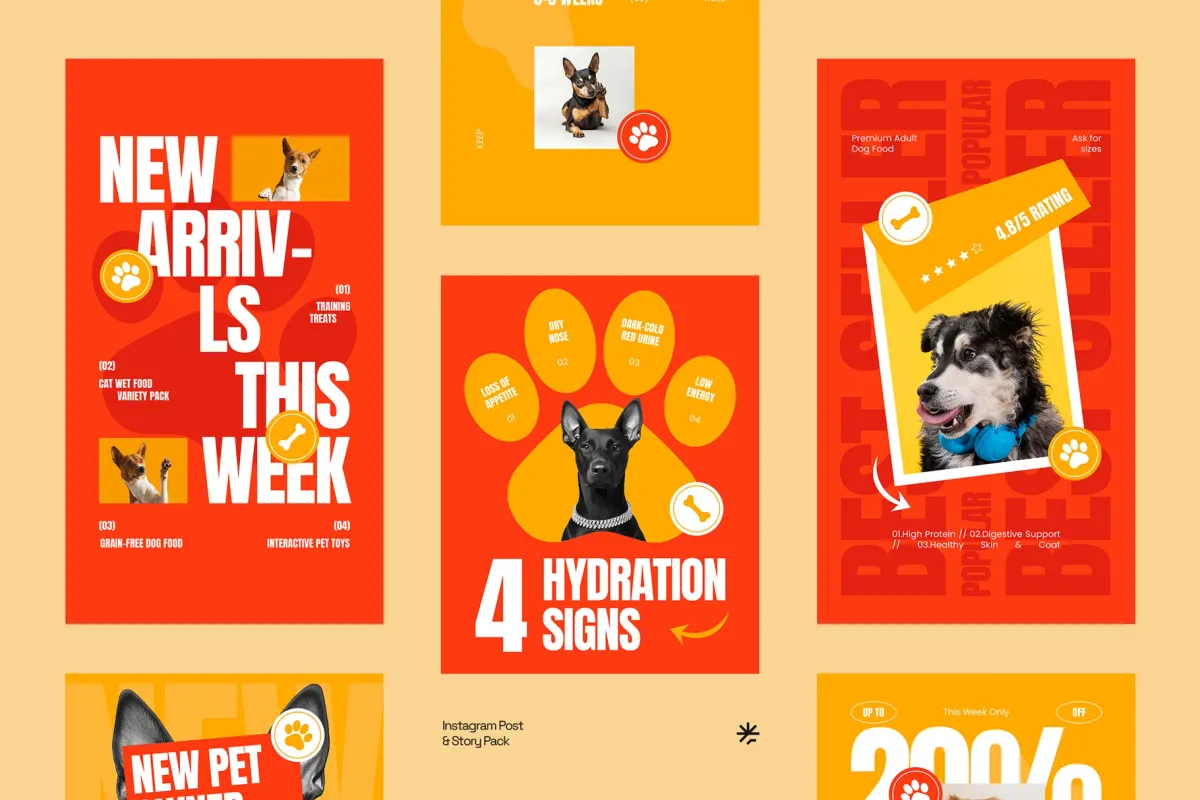 Pet Care Instagram Post & Stories - For Affinity